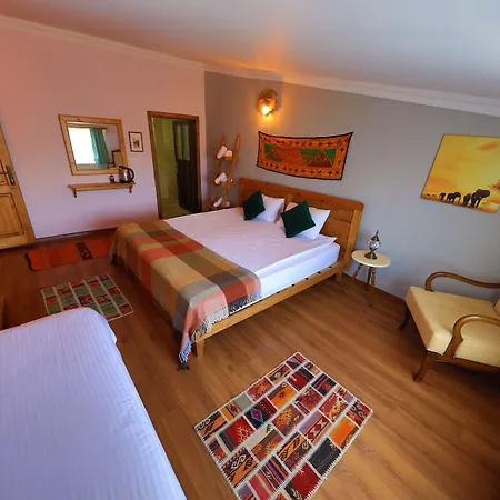 Alphan Cappadocia Hotel *
