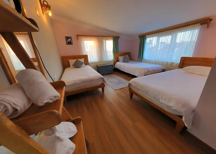 Alphan Cappadocia Hotel *