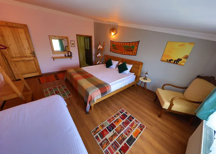 Alphan Cappadocia Hotel *